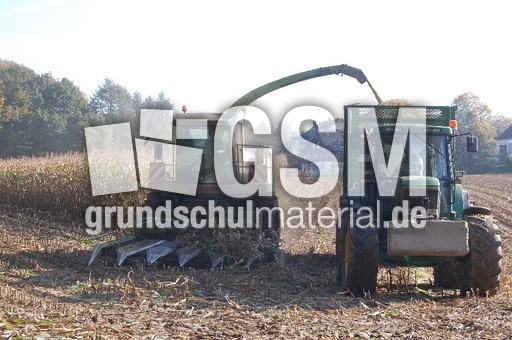Mähdrescher_2.JPG